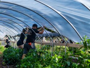 Farm Jobs Malta: Your Gateway to Agricultural Employment in the Mediterranean