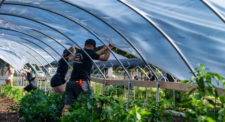Farm Jobs Malta: Your Gateway to Agricultural Employment in the Mediterranean