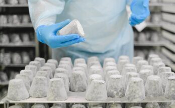 Food Processing Jobs Italy: Manufacturing Plant Employment Opportunities