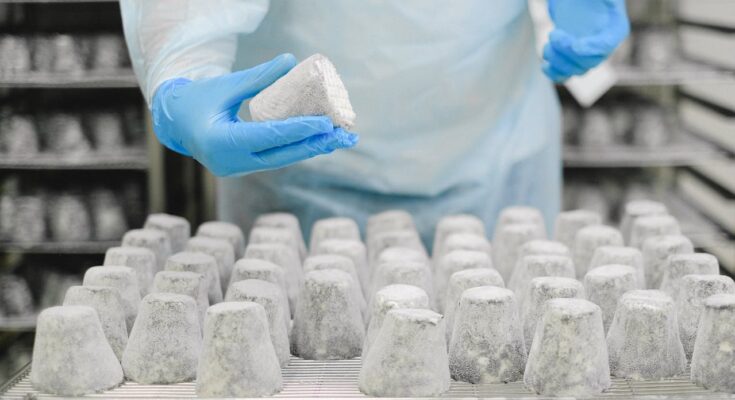 Food Processing Jobs Italy: Manufacturing Plant Employment Opportunities