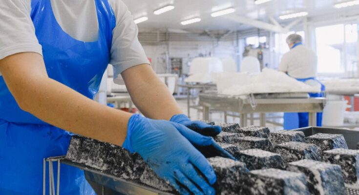 Food Industry Jobs Malta: Your Gateway to Thriving Processing and Packaging Career Opportunities